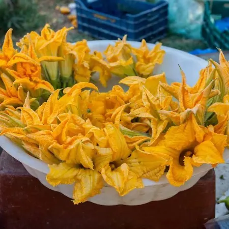 Apartament Sea & Town Getaway