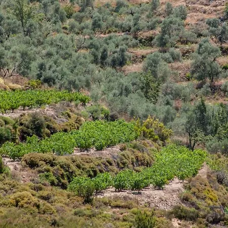 Apartament Sea & Town Getaway Chania (Crete)