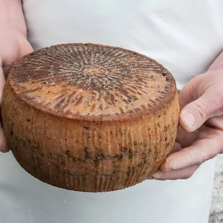 Sea & Town Getaway Chania (Crete)