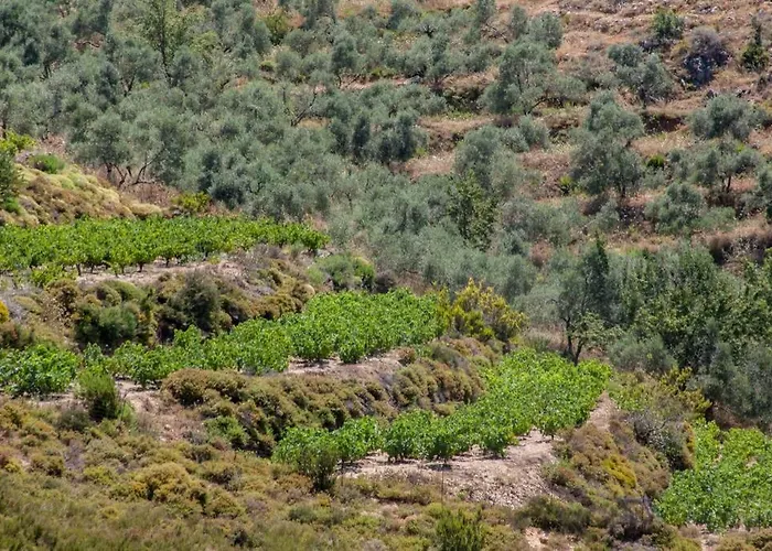 아파트 Sea & Town Getaway 하니아