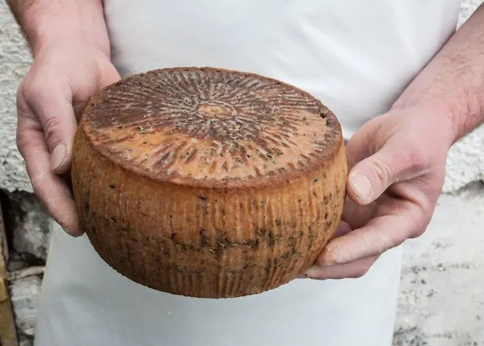 Sea & Town Getaway 하니아